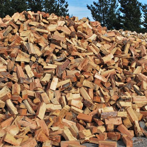 kindling satrip